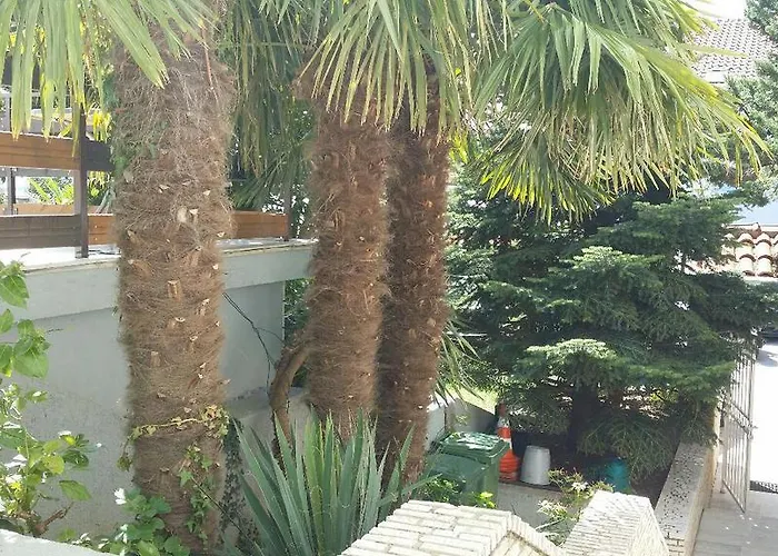 Ana *
