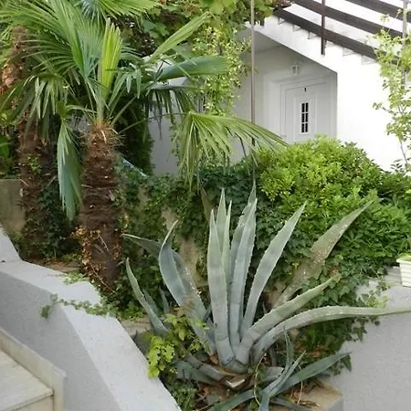 Ana Apartment *